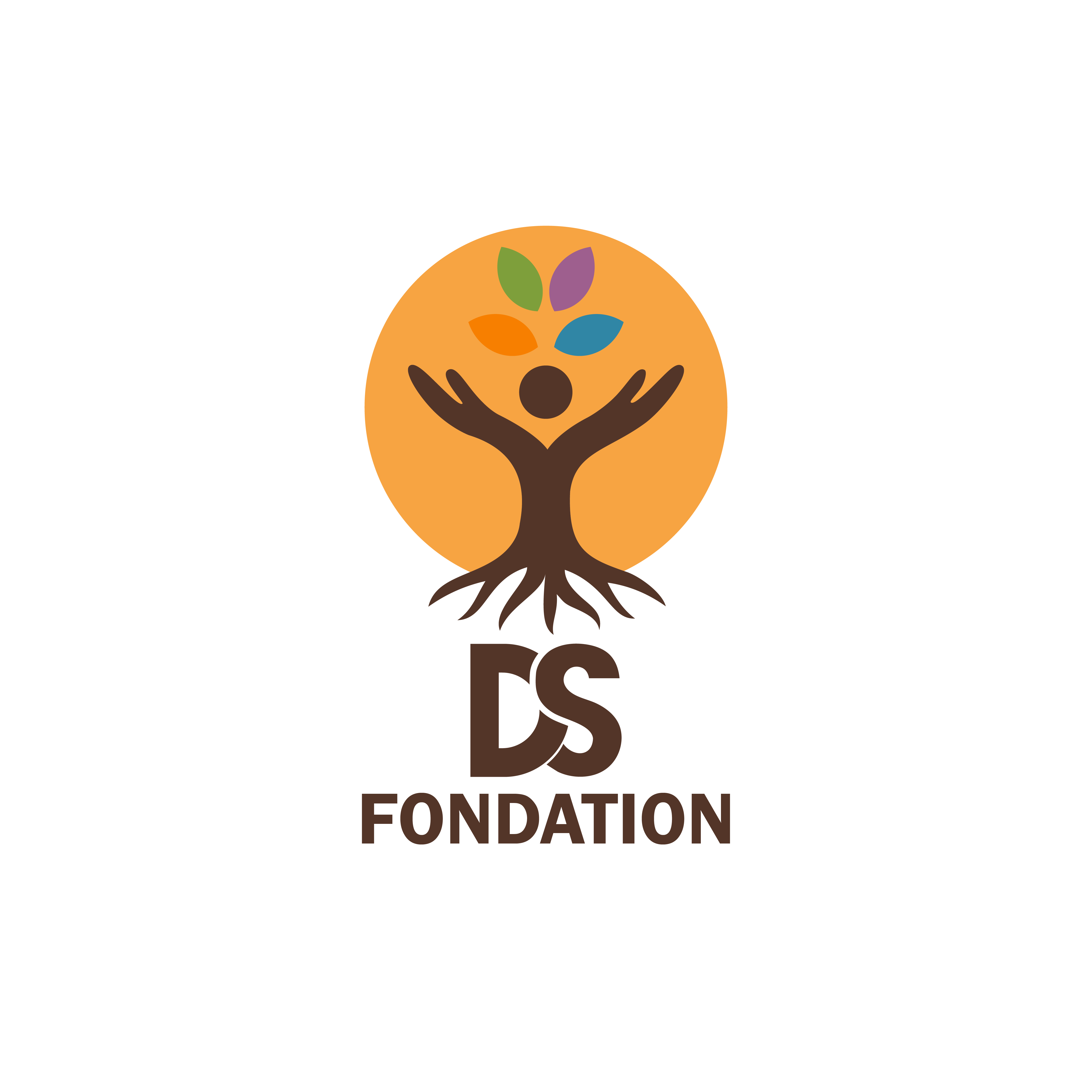 DS Fondation